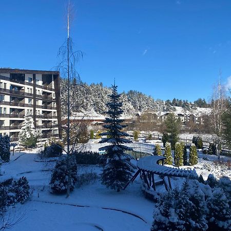 Cosy Studios With Mountain View Near Bansko 라즐로그 외부 사진