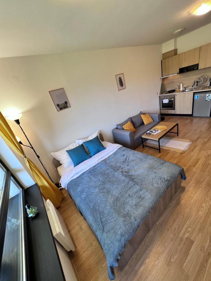Cosy Studios With Mountain View Near Bansko 라즐로그 외부 사진