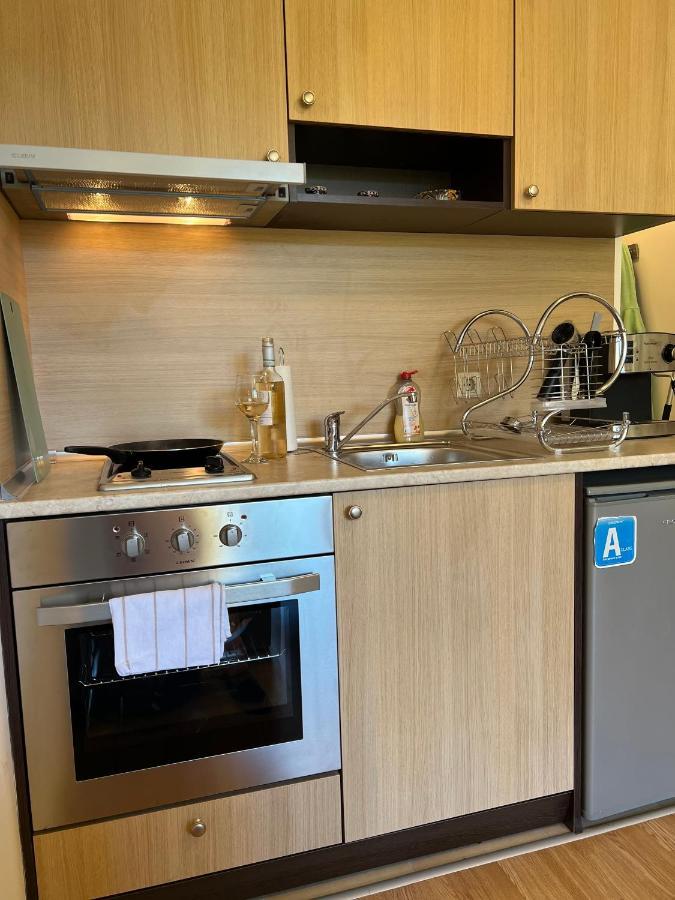 Cosy Studios With Mountain View Near Bansko 라즐로그 외부 사진