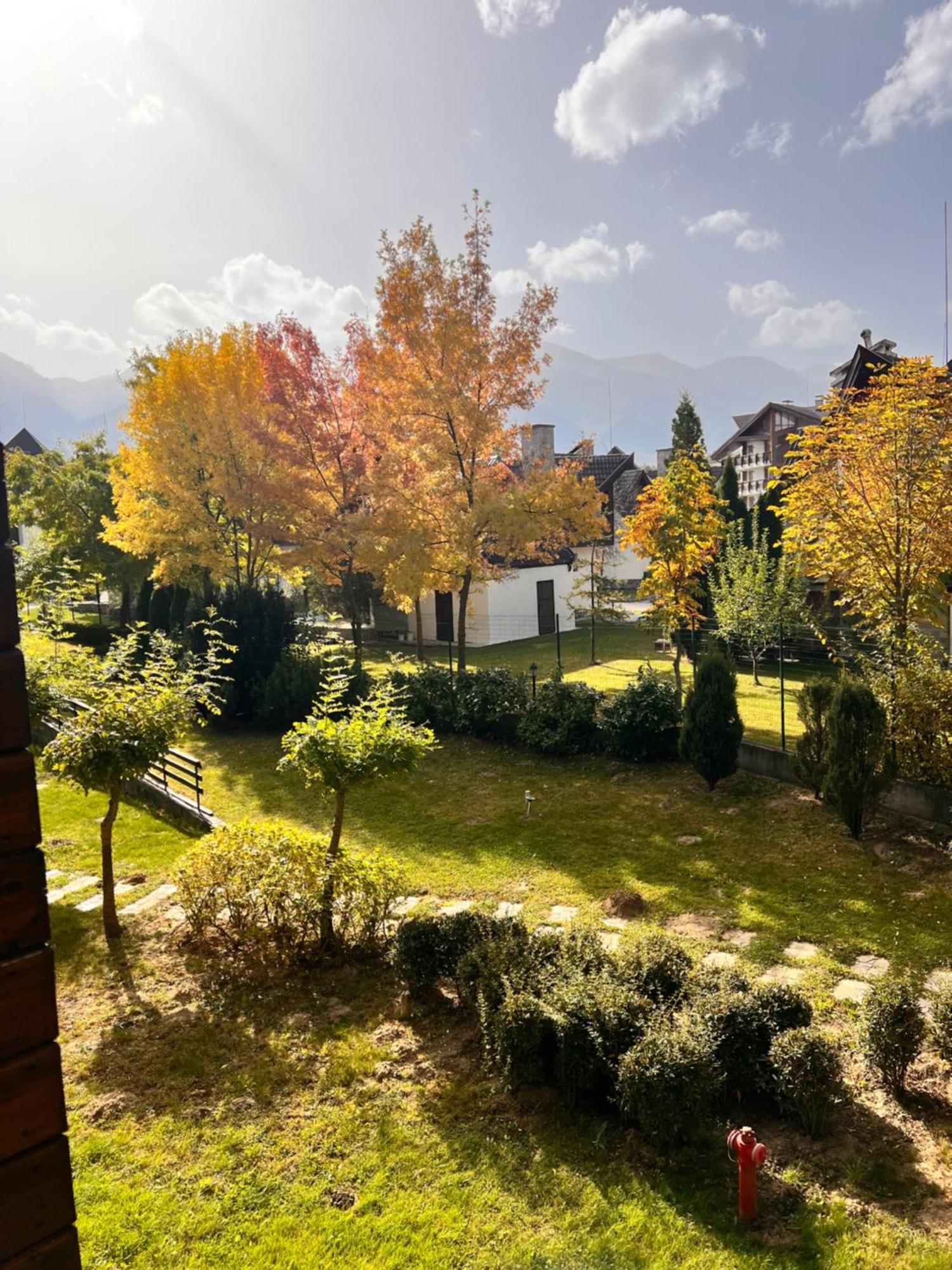 Cosy Studios With Mountain View Near Bansko 라즐로그 외부 사진