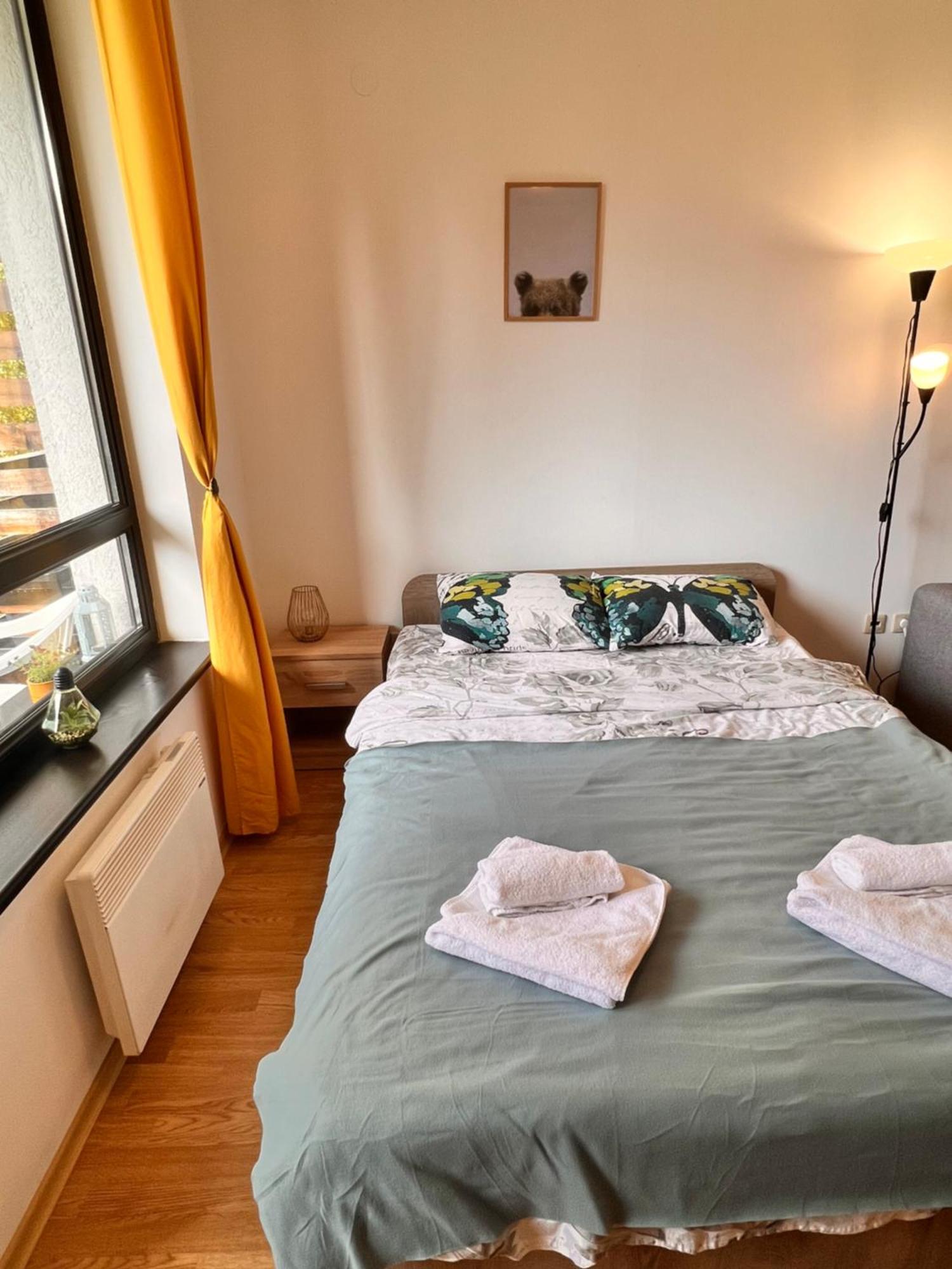 Cosy Studios With Mountain View Near Bansko 라즐로그 외부 사진