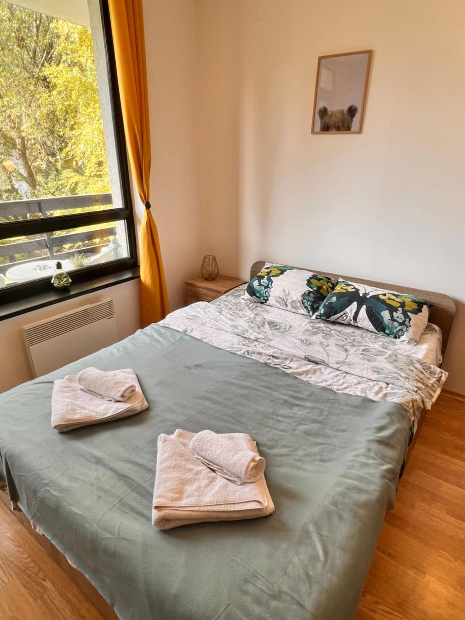 Cosy Studios With Mountain View Near Bansko 라즐로그 외부 사진