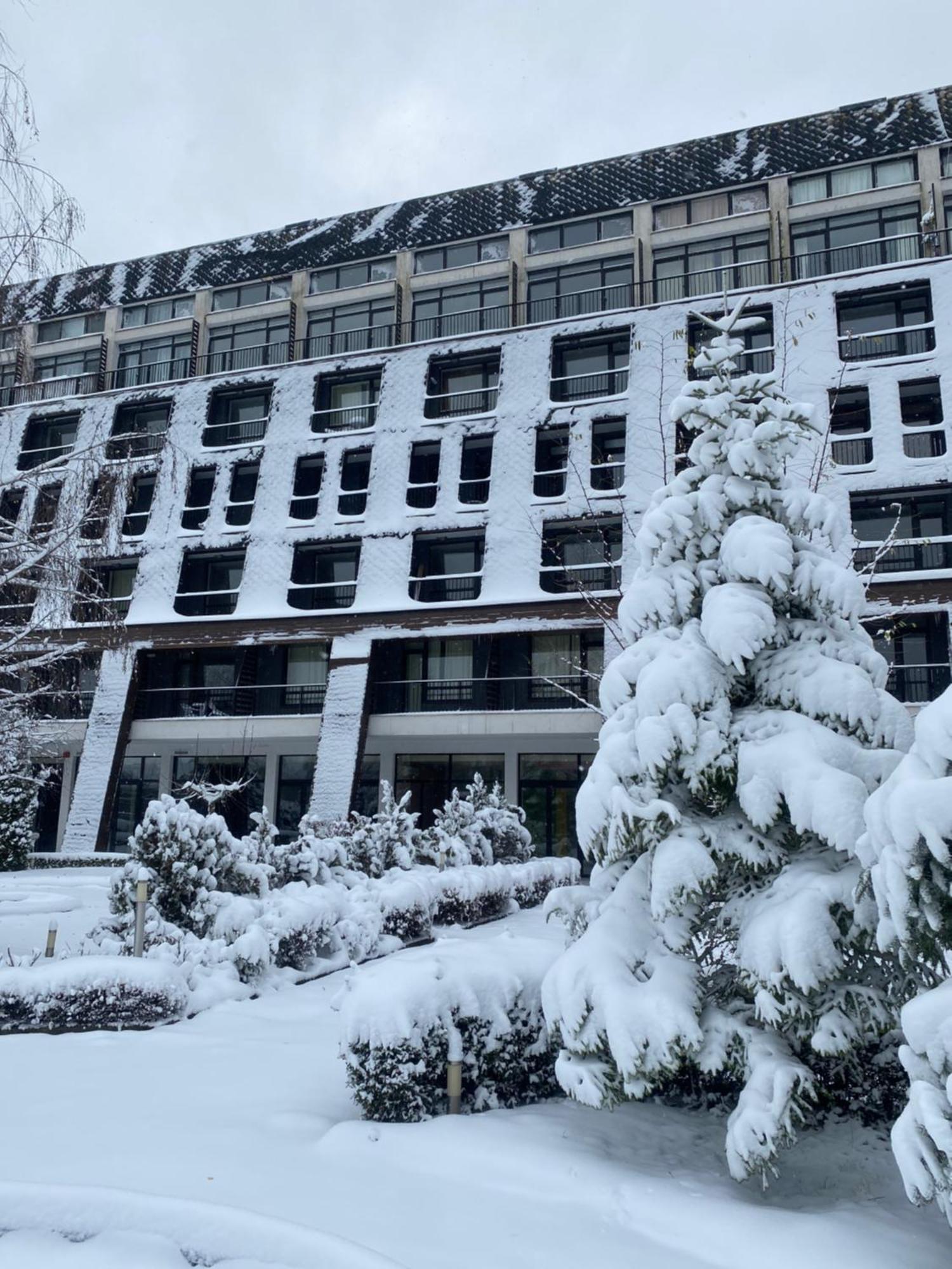 Cosy Studios With Mountain View Near Bansko 라즐로그 외부 사진